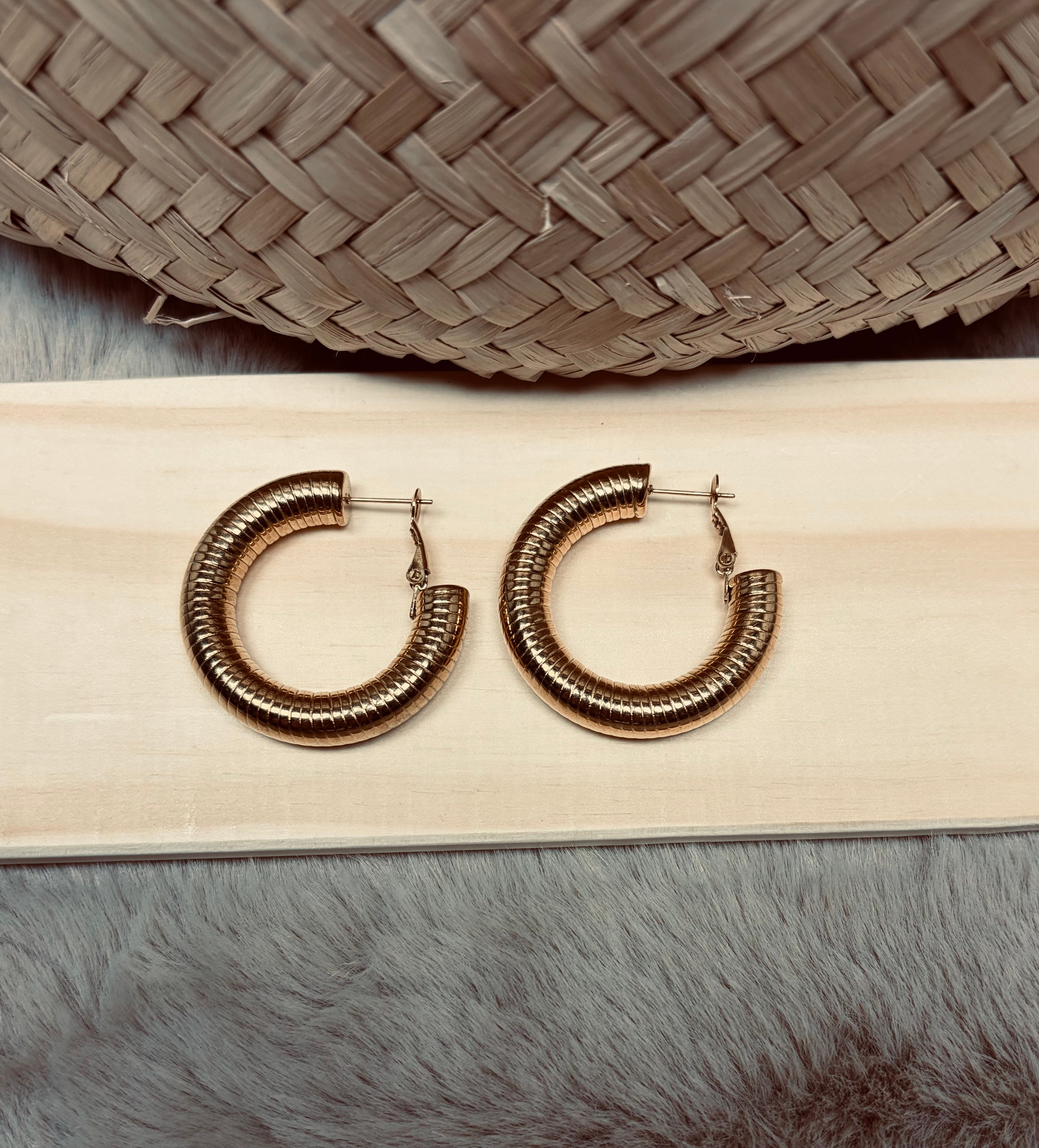Orecchini cerchio snake